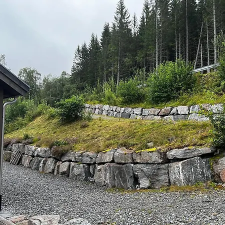 Ved Nysaetervatnet - Fjellsaetra Tatil Evi
