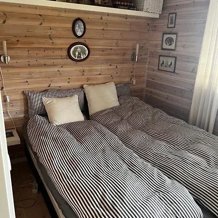 Ved Nysaetervatnet - Fjellsaetra Holiday home *
