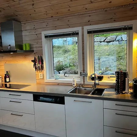 Ved Nysaetervatnet - Fjellsaetra Ferienhaus Sykkylven