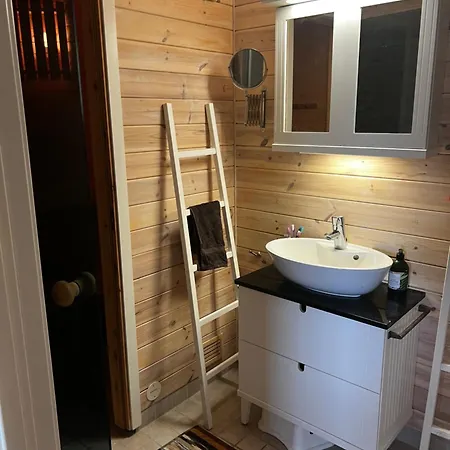 Ved Nysaetervatnet - Fjellsaetra Holiday home *