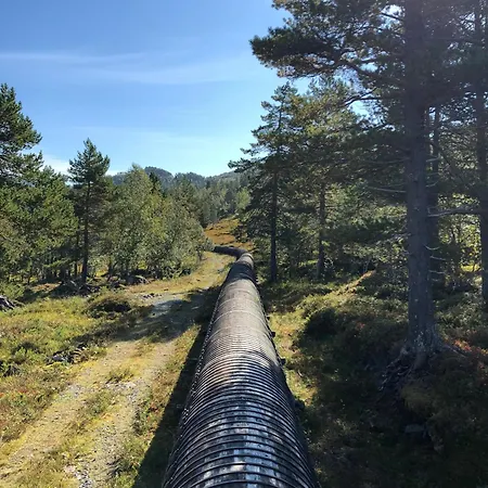 Ved Nysaetervatnet - Fjellsaetra * Sykkylven