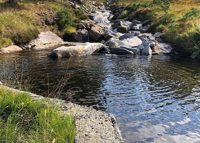 Ved Nysaetervatnet - Fjellsaetra Sykkylven
